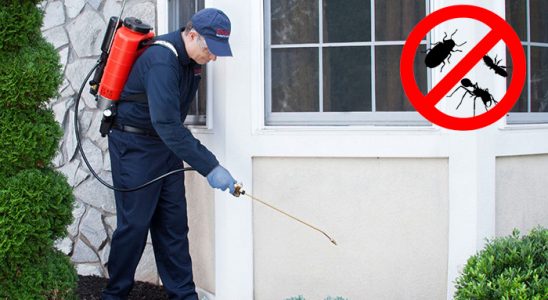 Çamlıhemşin Hamam Böceği İlaçlama böcek ilaçlama ve haşere kontrolü — ilaclama-tr.com